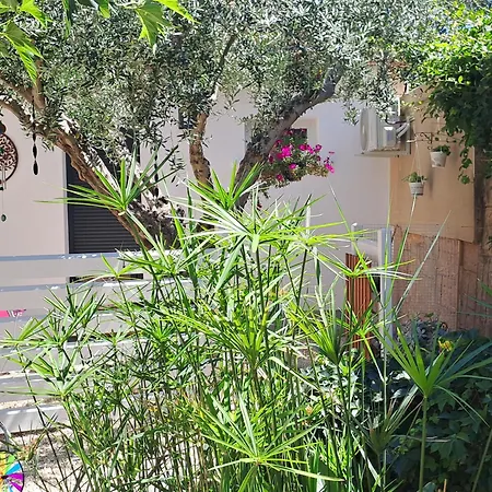 L'olivier Lejlighed Saint-André-de-Sangonis