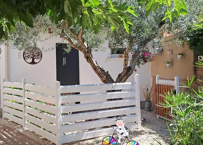 דירה L'olivier Saint-André-de-Sangonis